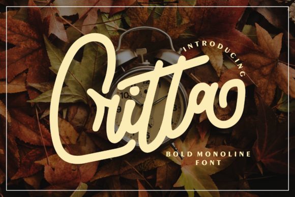 How Critta Elevated My Website's Typography Game